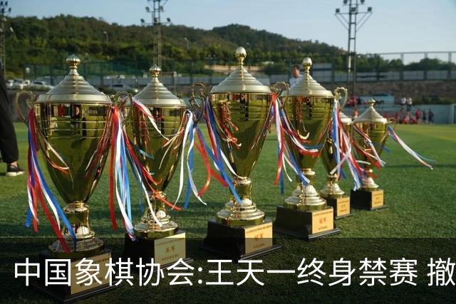 中国象棋协会:王天一终身禁赛 撤销特大等称号